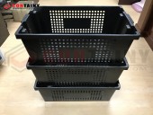 BOX-231