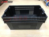 BOX-231
